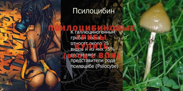 PSILOCYBIN Белоозёрский