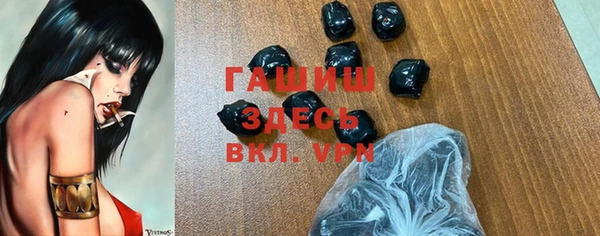 индика Балахна