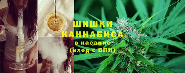 PSILOCYBIN Белоозёрский