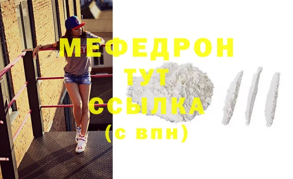 индика Осинники