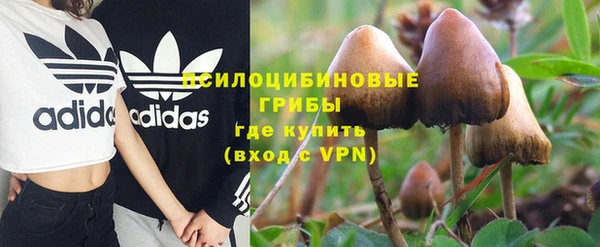 PSILOCYBIN Белоозёрский